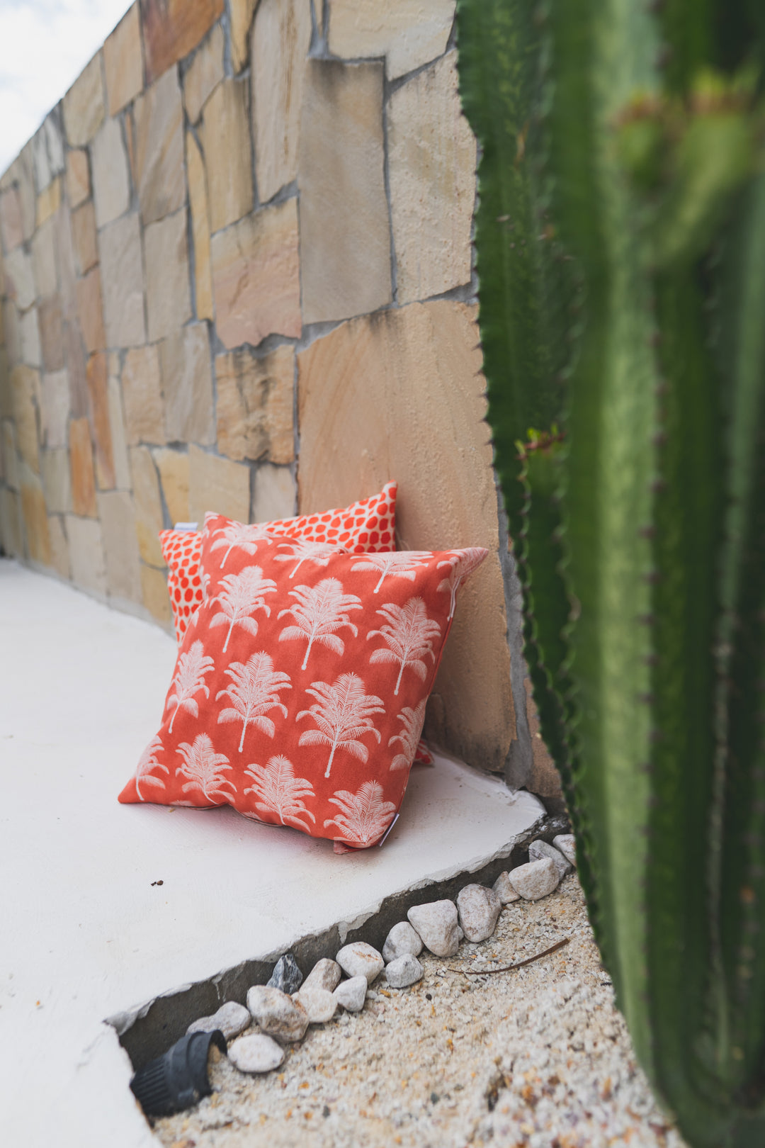 Puff Dotty Coral