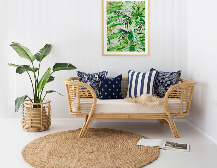 3 Beaches Broadwater Mini Palm