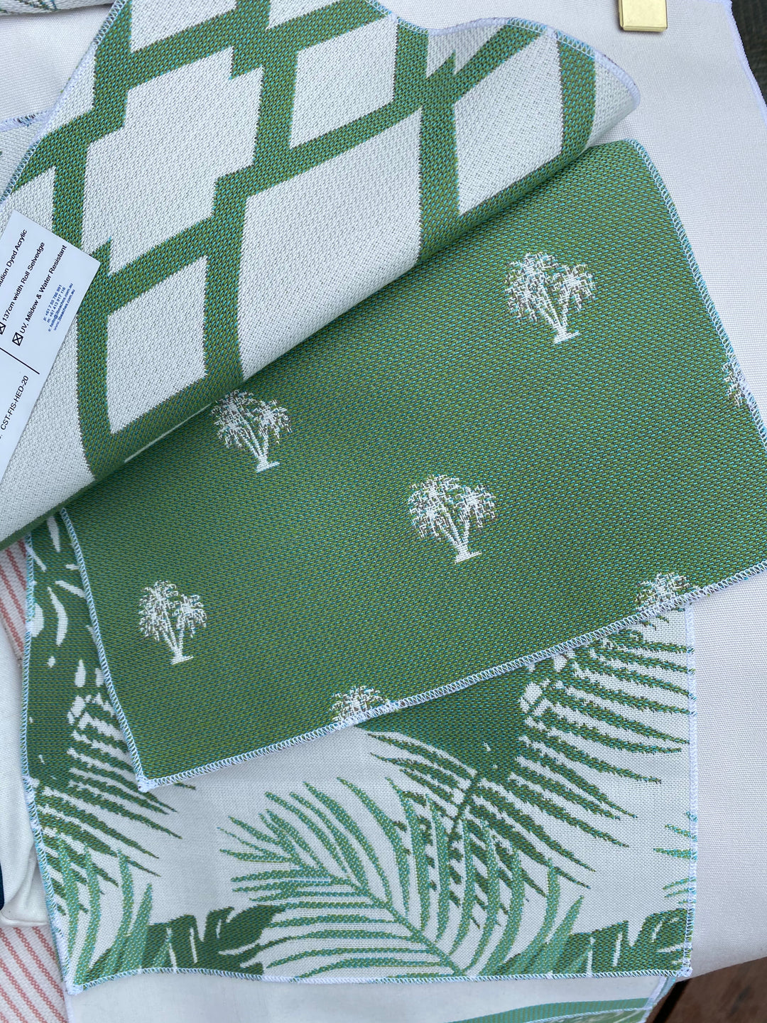 3 Beaches Hedges Tropical Palm