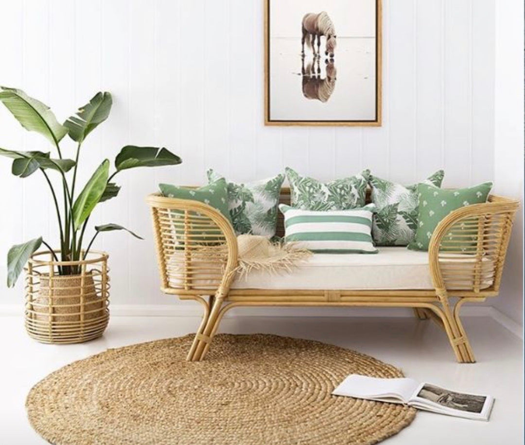 3 Beaches Hedges Mini Palm