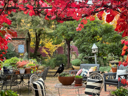 Great outdoor cushions 2025